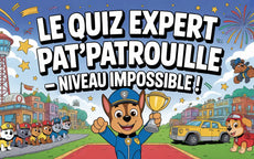Le quiz expert Pat'Patrouille — Niveau impossible !