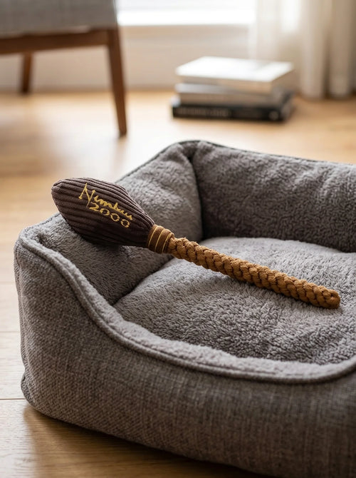 Jouet pour chien Harry Potter balai en corde 37 cm mis en scène dans un décor du quotidien
