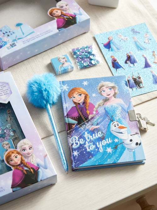 Gros plan sur les détails : Set journal La Reine des Neiges avec stylo fuzzy