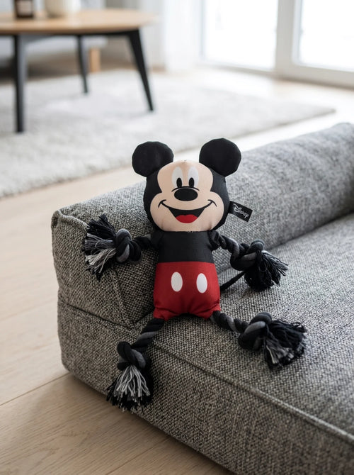 Jouet pour Chien Mickey Mouse Disney mis en scène dans un décor du quotidien