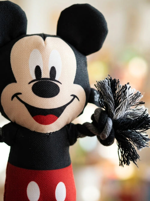 Gros plan sur les détails : Jouet pour Chien Mickey Mouse Disney