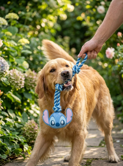 Jouet Corde Stitch pour Chien Adulte en situation d'utilisation